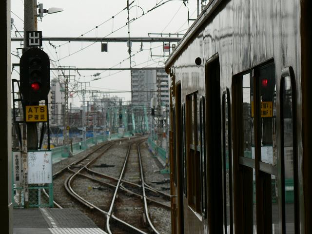 P1030593.jpg
