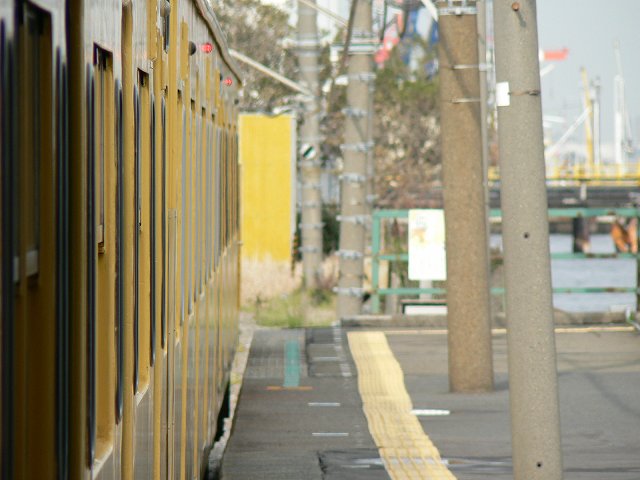 P1030655.jpg