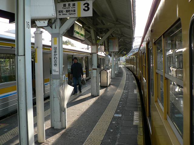 P1030719.jpg