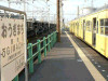 P1030740-s.jpg