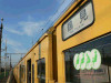 P1030762-s.jpg