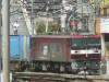P1030915-s.jpg