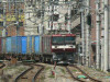 P1030916-s.jpg