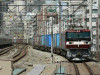 P1030919-s.jpg