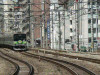 P1030958-s.jpg