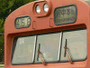 P1040632-s.jpg