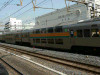 P1040659-s.jpg