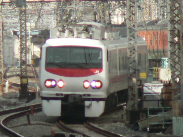 P1050016.jpg