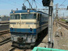P1050046-s.jpg