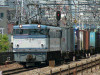 P1050077-s.jpg