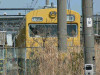 P1050153-s.jpg