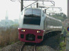 P1050484-s.jpg