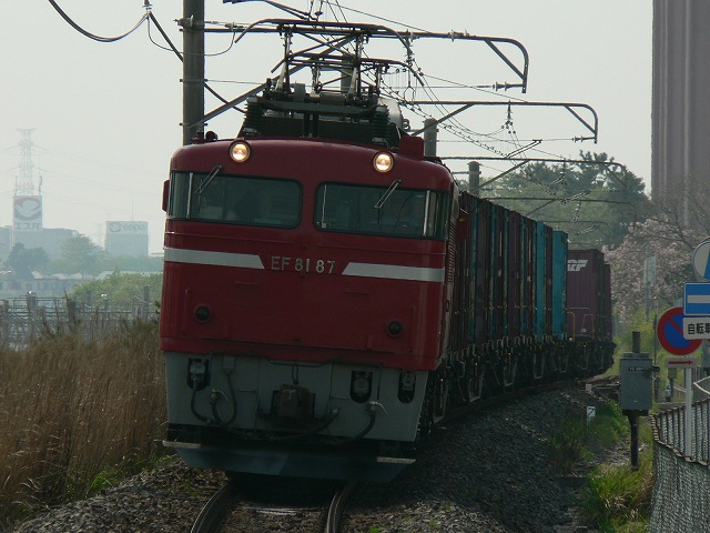 P1050496.jpg