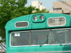 P1050534-s.jpg