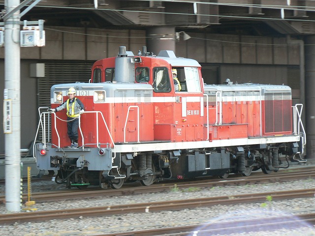 P1050924.jpg