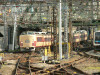 P1050987-s.jpg