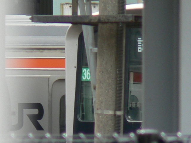 P1080880.jpg