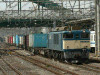 P1080935-s.jpg