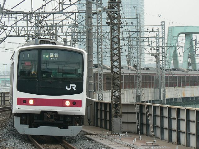 P1110954.jpg