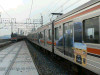 P1110982-s.jpg