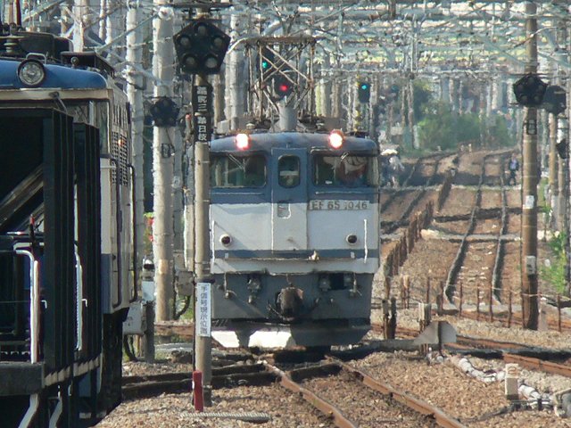P1120467.jpg