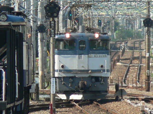 P1120468.jpg