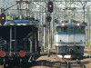 P1120470-s.jpg