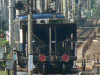 P1120491-s.jpg