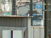 P1120503-s.jpg