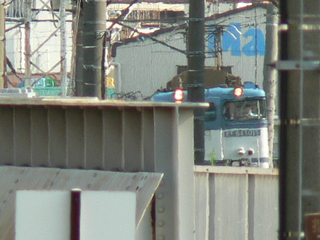 P1120503.jpg
