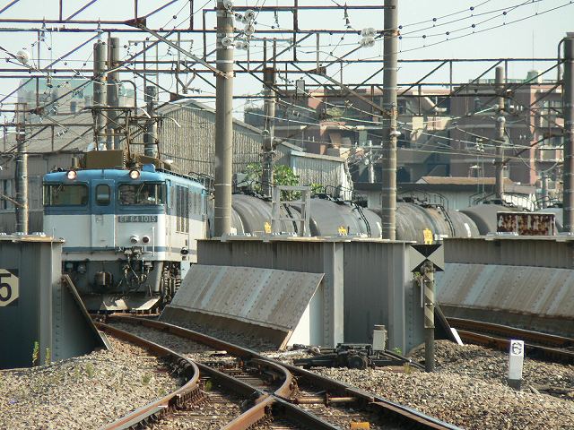 P1120507.jpg
