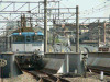 P1120509-s.jpg