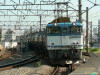 P1120513-s.jpg