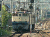 P1120527-s.jpg