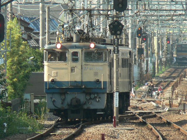 P1120527.jpg