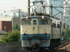 P1120531-s.jpg