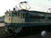 P1120532-s.jpg