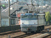 P1120550-s.jpg
