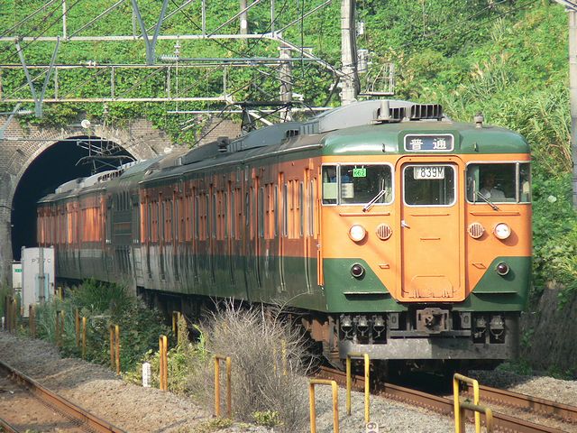 P1120664.jpg
