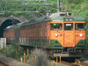 P1120693-s.jpg