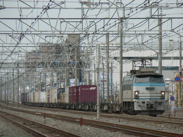 P1180412.jpg