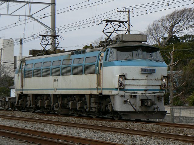 P1180414.jpg