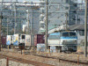 P1180475-s.jpg