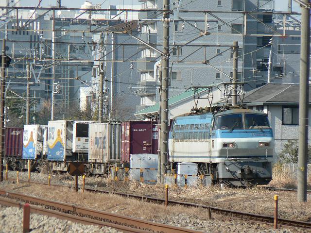 P1180475.jpg