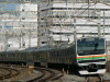 P1180504-s.jpg