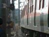 P1180510-s.jpg