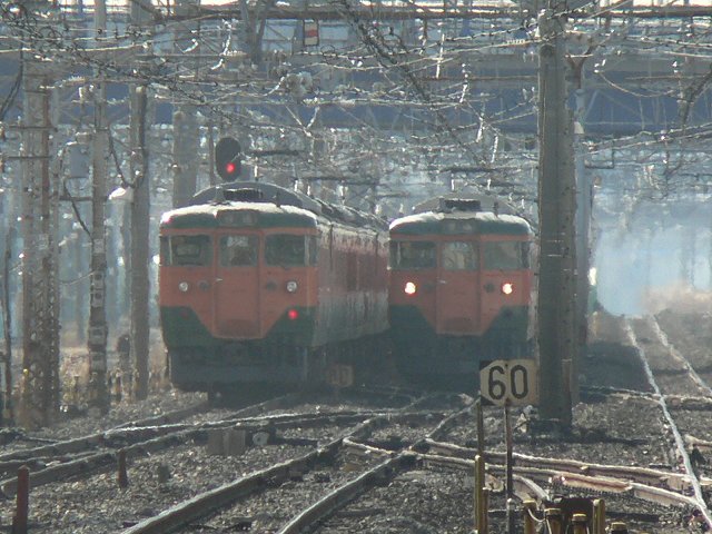 P1180516.jpg