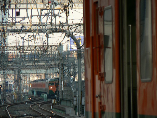 P1180603.jpg