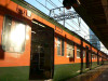 P1180604-s.jpg