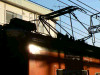 P1180615-s.jpg